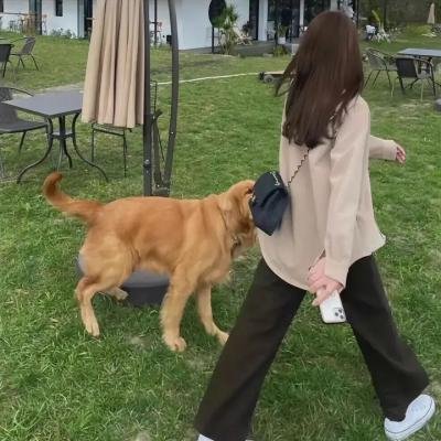 摇滚吸血鬼
